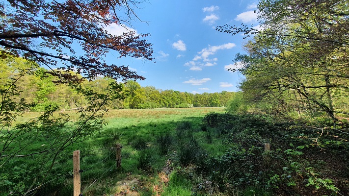 Wandeling over Trage Tocht Achtmaal bij landgoed Wallsteijn