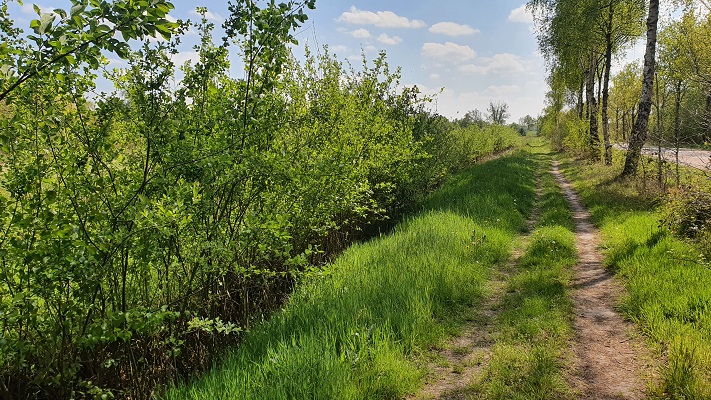 Wandeling over Trage Tocht Achtmaal bij landgoed Wallsteijn