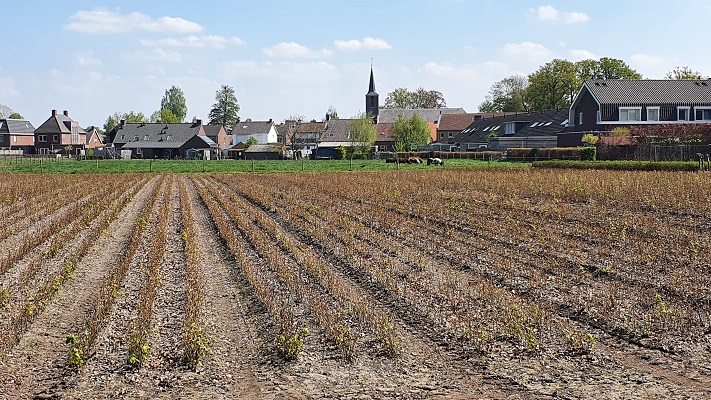 Wandeling over Trage Tocht Achtmaal