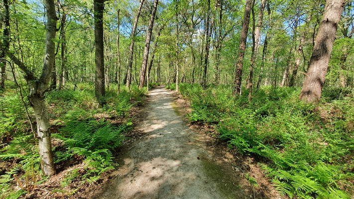 Wandeling over Trage Tocht Achtmaal bij landgoed Wallsteijn