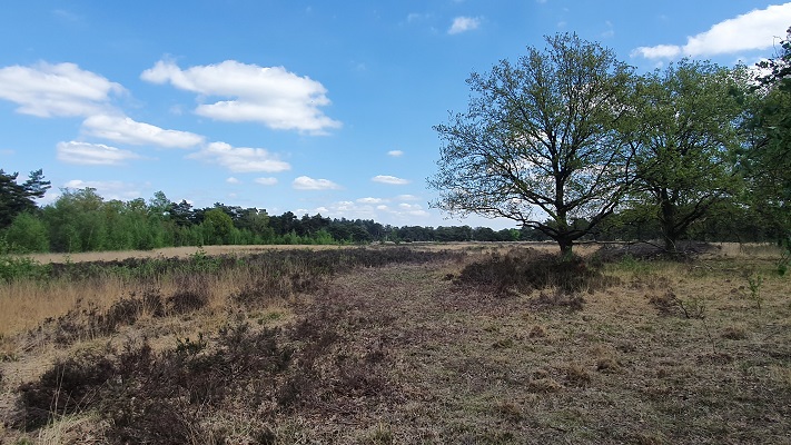 Wandeling over Trage Tocht Achtmaal bij de Reeten