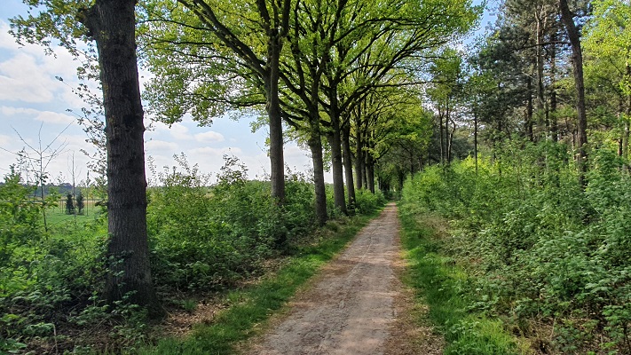 Wandeling over Trage Tocht Achtmaal bij de Reeten