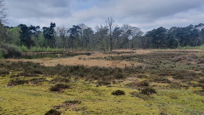 Wandeling over Trage Tocht Lomm