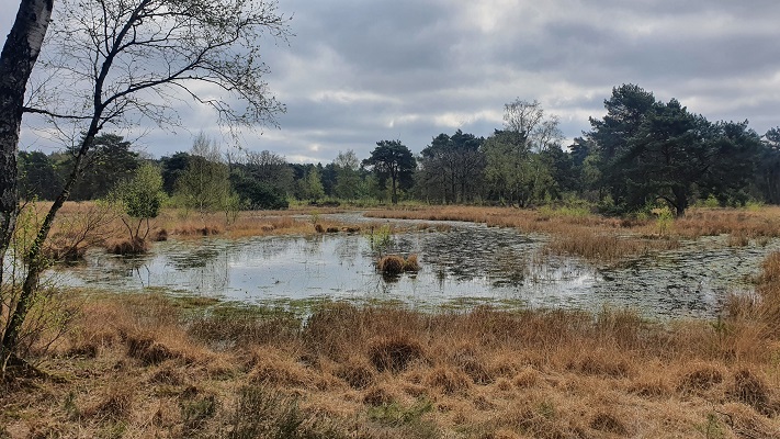 Wandeling over Trage Tocht Lomm bij de Ravenvennen
