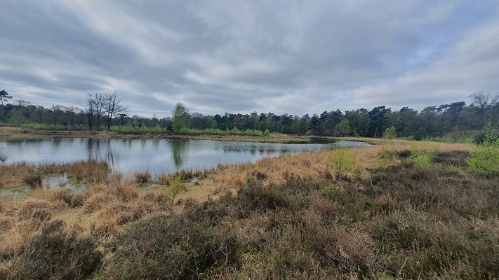 Wandeling over Trage Tocht Lomm bij de Ravenvennen