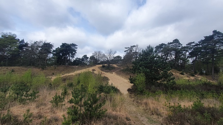 Wandeling over Trage Tocht Lomm bij de Witte Berg