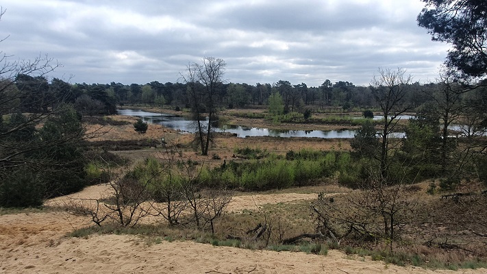 Wandeling over Trage Tocht Lomm bij de Witte Berg