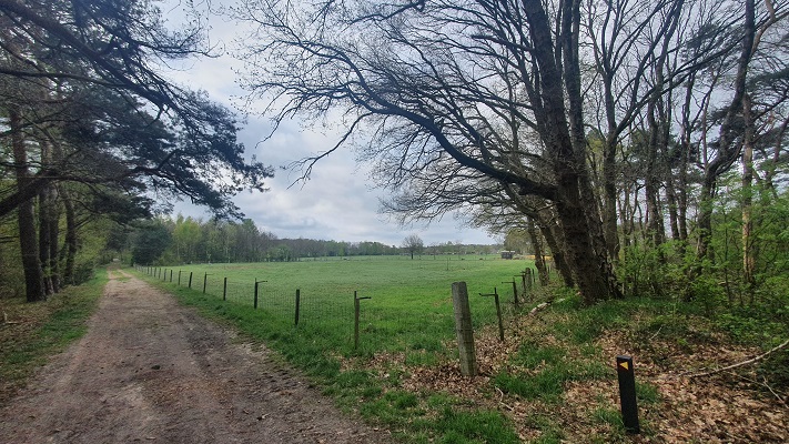 Wandeling over Trage Tocht Lomm
