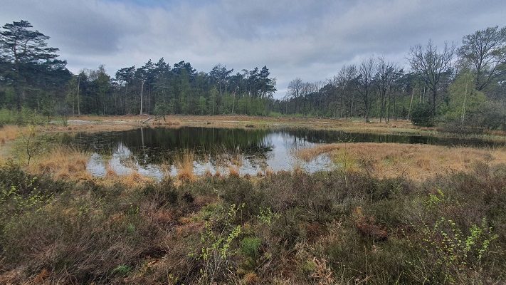 Wandeling over Trage Tocht Lomm bij de Ravenvennen