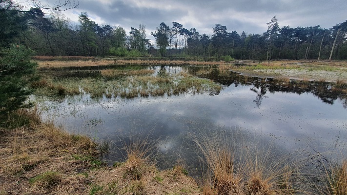 Wandeling over Trage Tocht Lomm bij de Ravenvennen