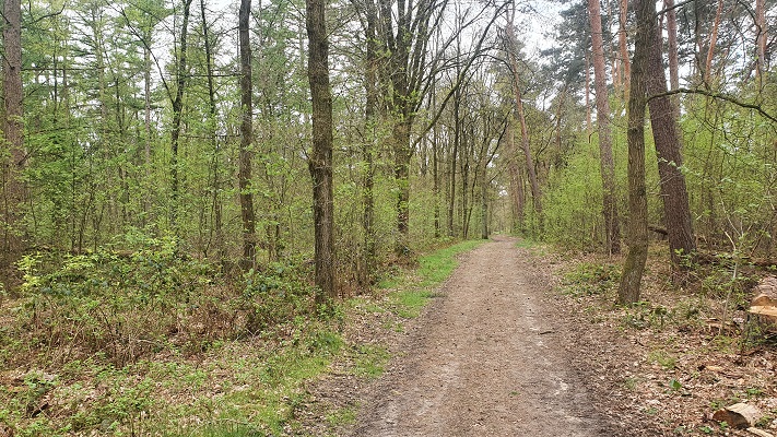 Wandeling over Trage Tocht Lomm