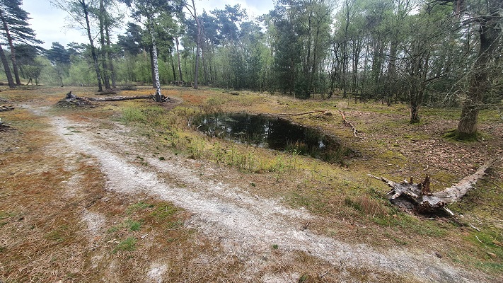 Wandeling over Trage Tocht Lomm