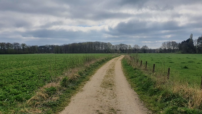 Wandeling over Trage Tocht Lomm