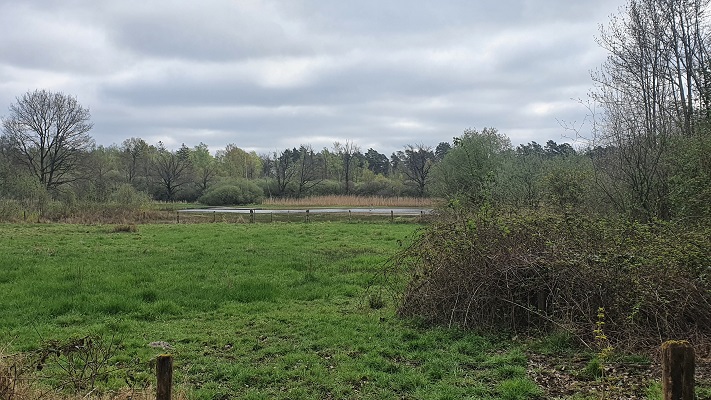 Wandeling over Trage Tocht Lomm bij het Vreewater