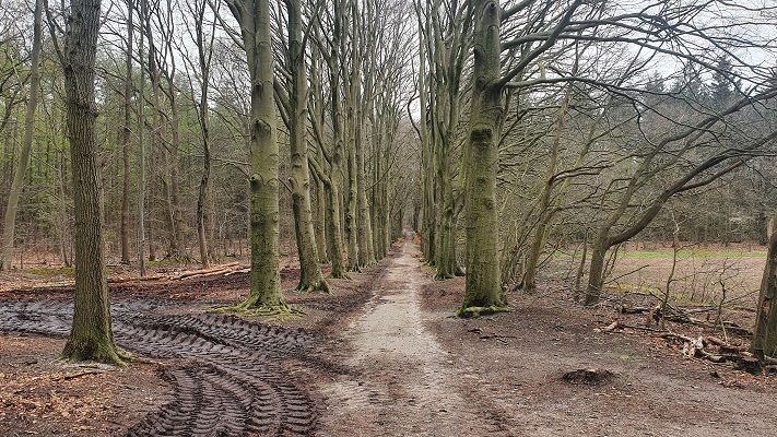 Trage Tocht Wageningen in Oranje Nassau's Oord
