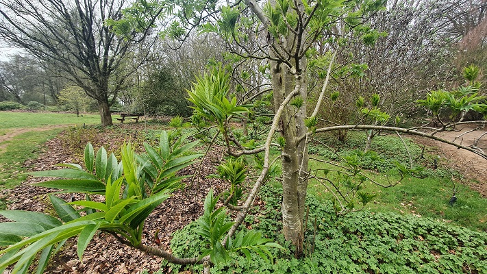 Trage Tocht Wageningen in het Arboretum Wageningen