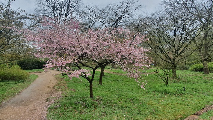 Trage Tocht Wageningen in het Arboretum Wageningen