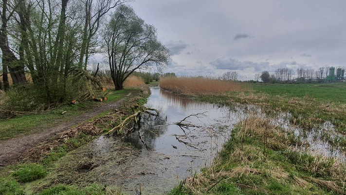 Trage Tocht Wageningen in de Wageningse uiterwaarden