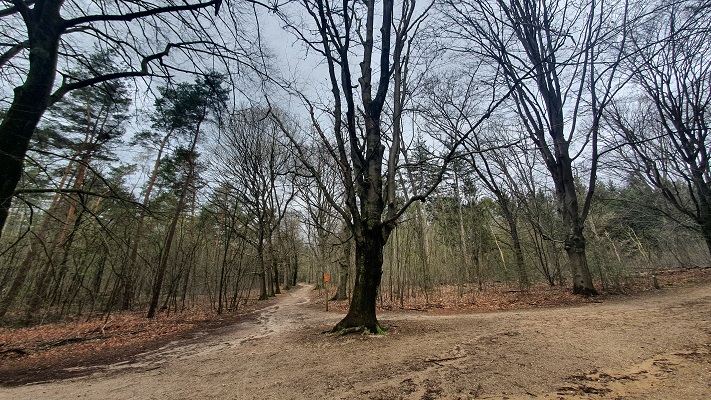 Trage Tocht Wageningen in Oranje Nassau's Oord