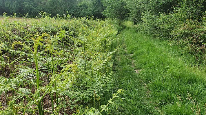 Trage Tocht Biezenmortel