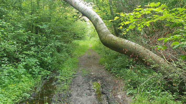 Trage Tocht Biezenmortel