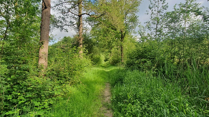 Trage Tocht Biezenmortel