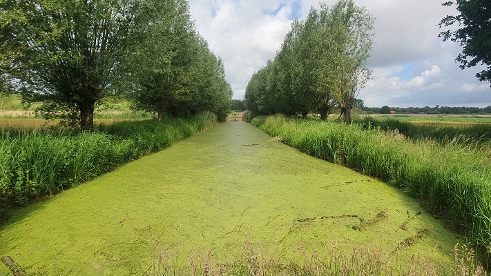 Trage Tocht Biezenmortel