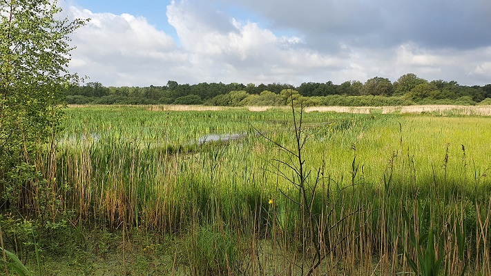 Trage Tocht Biezenmortel
