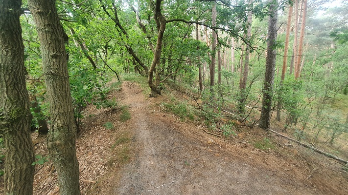 Trage Tocht Biezenmortel