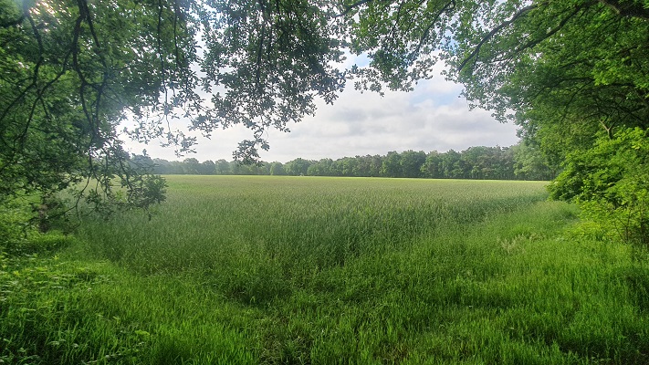 Trage Tocht Biezenmortel