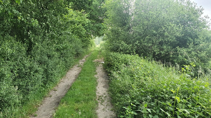 Trage Tocht Biezenmortel
