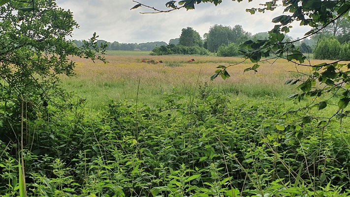 Trage Tocht Biezenmortel