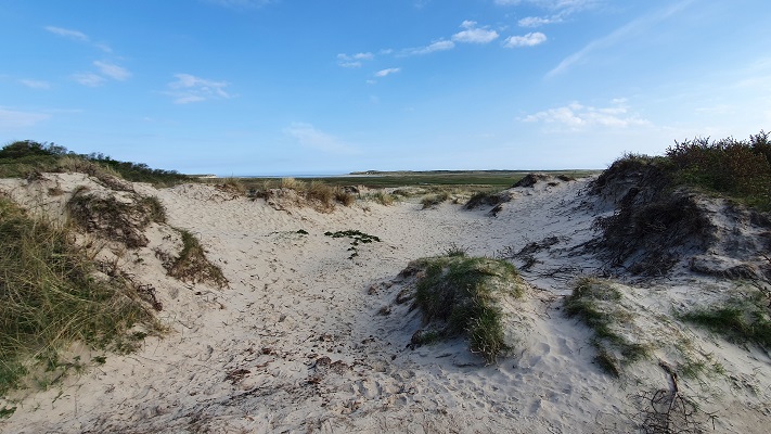 Wandeling op Texel van De Koog naar Cocksdorp bij de Slufter
