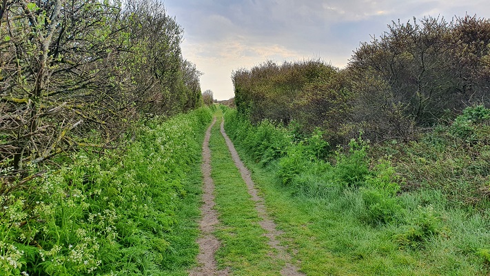 Wandeling op Texel van De Koog naar Cocksdorp