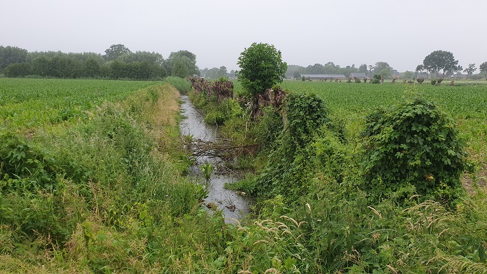 Wandeling over Klompenpad Turfvelderpad bij Ederveen bij de Munnikenbeek