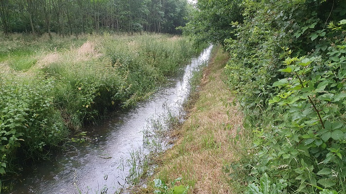 Wandeling over Klompenpad Turfvelderpad bij Ederveen bij de Munnikenbeek