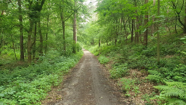 Wandeling over Trage Tocht Kessel in het Reichswald