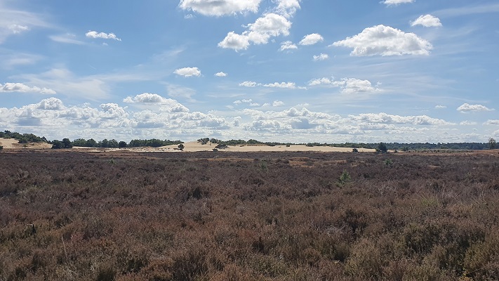 Trage Tocht Loon op Zand