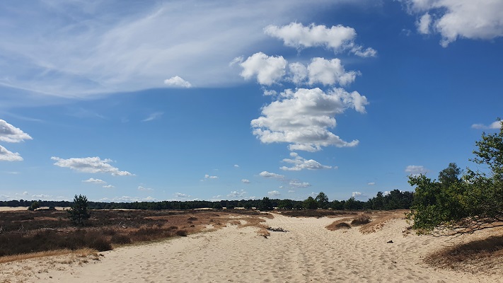 Trage Tocht Loon op Zand