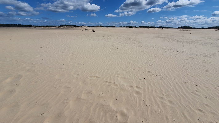 Trage Tocht Loon op Zand