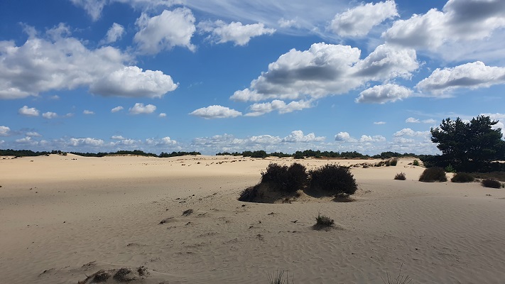 Trage Tocht Loon op Zand