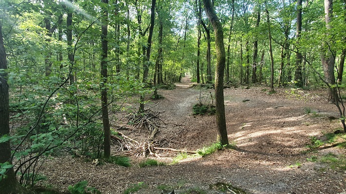 Trage Tocht Loon op Zand