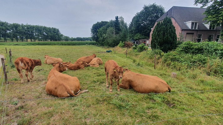 Wandelen buiten de binnenstad van Tilburg - Trappistenklooster