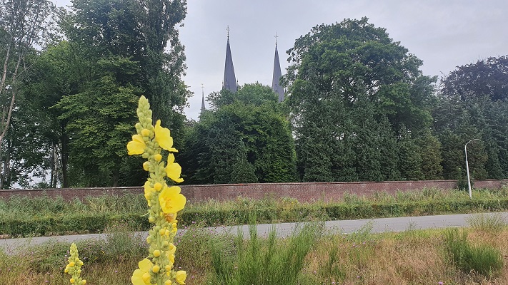 Wandelen buiten de binnenstad van Tilburg - Trappistenklooster - bij Trappistenklooster Koningshoeven