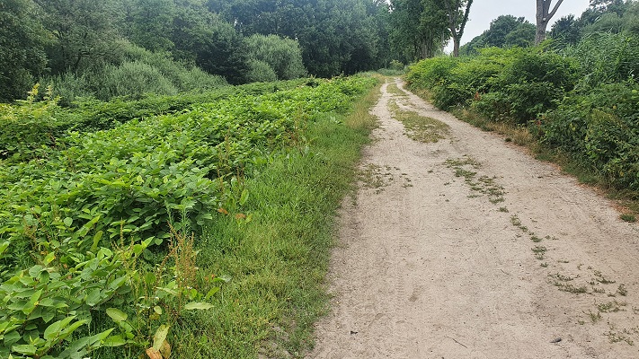 Wandelen buiten de binnenstad van Tilburg - Trappistenklooster