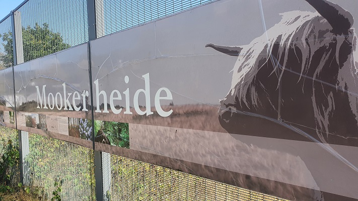 Wandeling over Groene Wissel Mook-Molenhoek