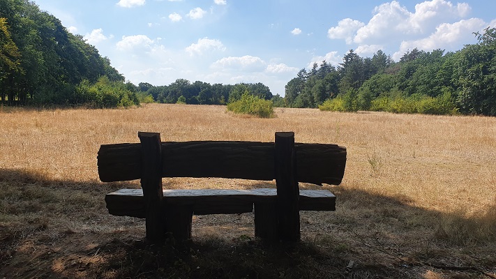 Wandeling over Groene Wissel Mook-Molenhoek