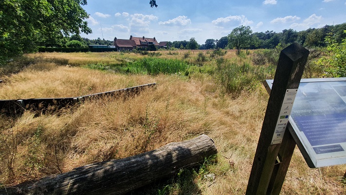 Wandeling over Groene Wissel Mook-Molenhoek bij voormalige leemput Biesselt