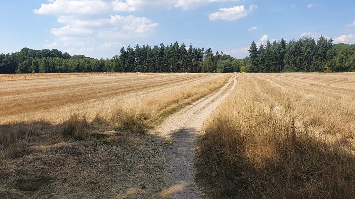 Wandeling over Groene Wissel Mook-Molenhoek