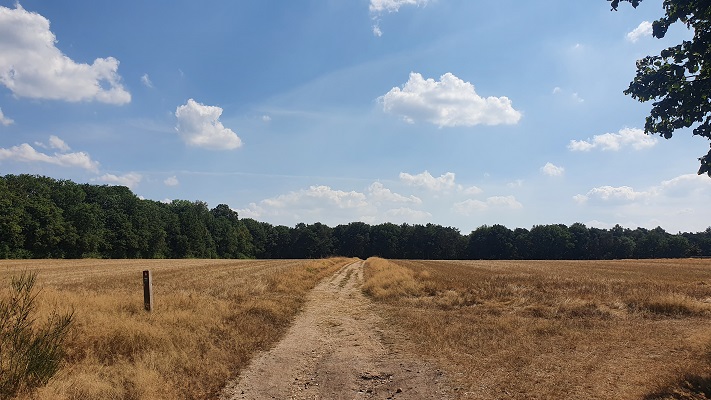 Wandeling over Groene Wissel Mook-Molenhoek